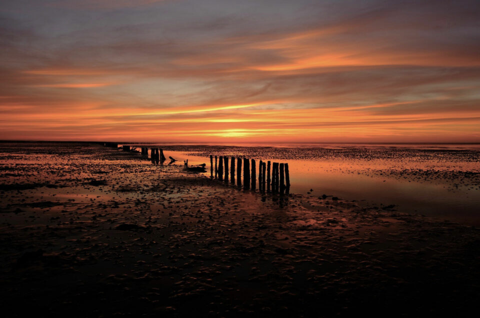 Lopen op de bodem van de Waddenzee