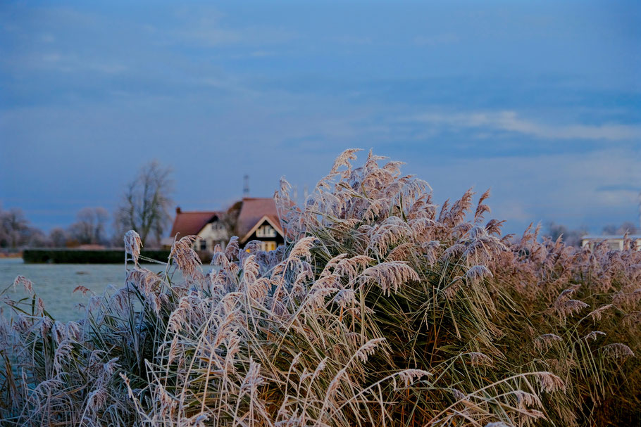 Winterlandschap provincie Groningen