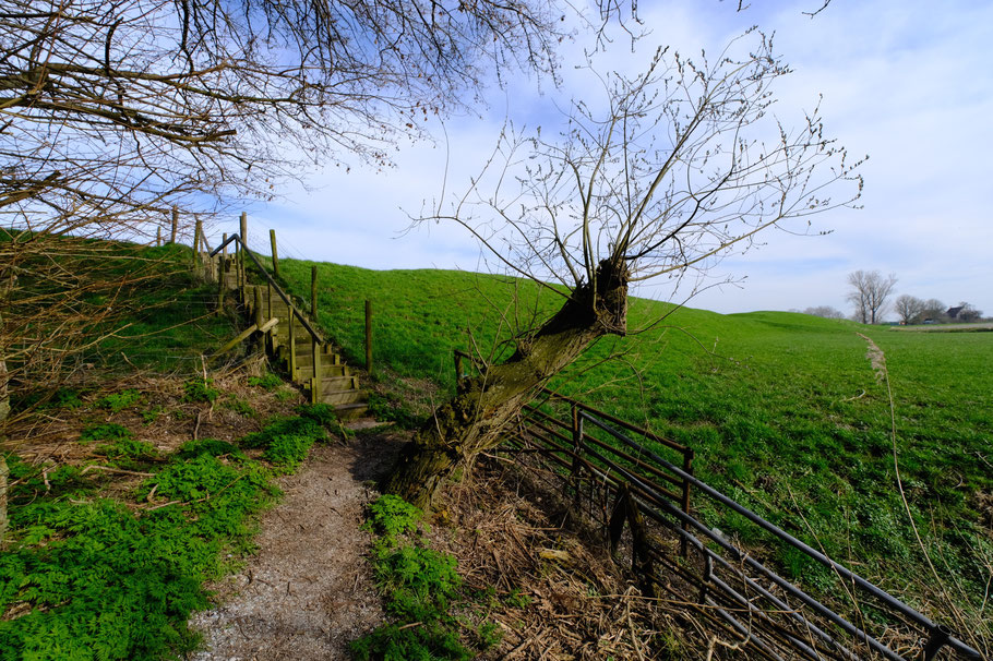 Steiger Reitdiep