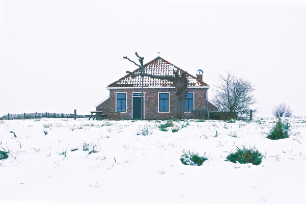 Harssensbosch in de winter