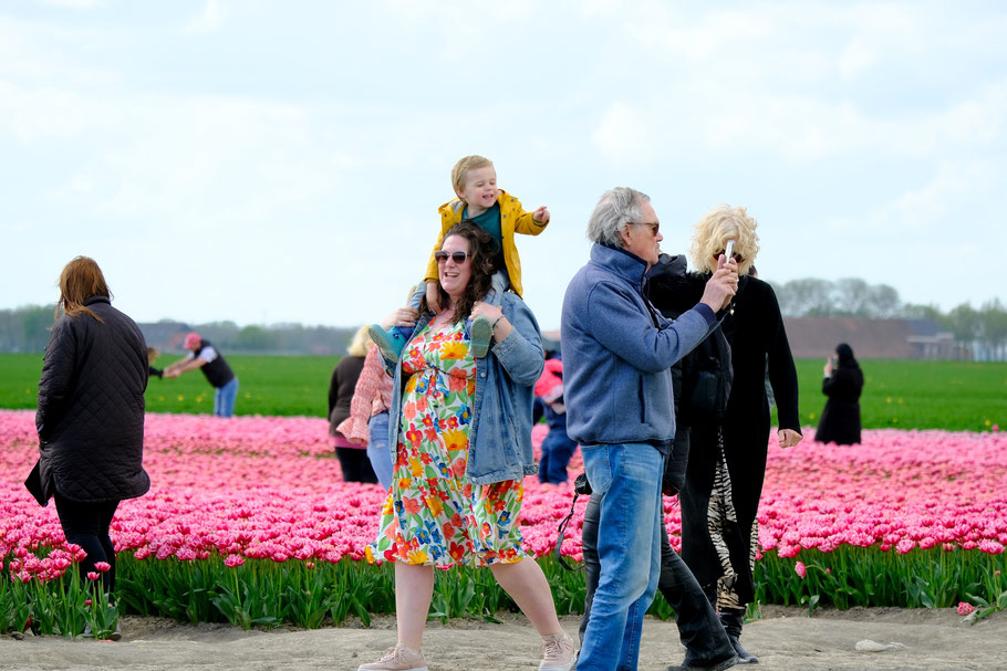 Naar de bollen