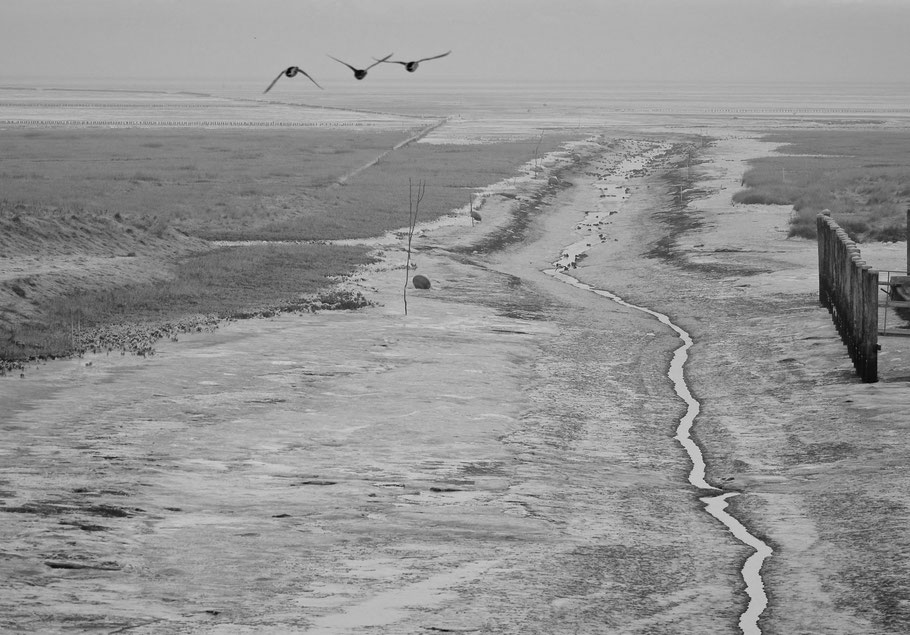 Noordpolderzijl in beeld