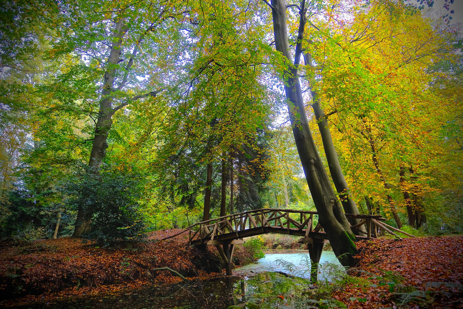 Wandelen door het Slochterbos