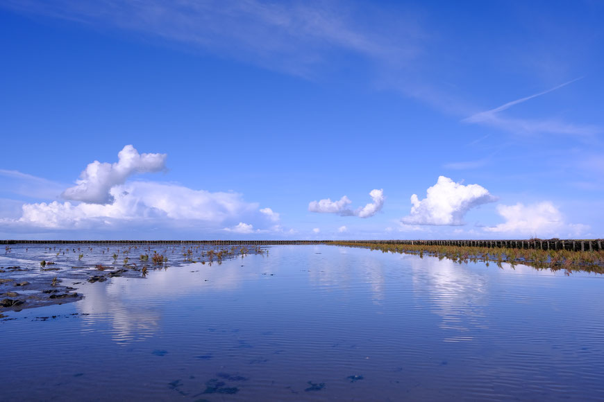 De Waddenzee