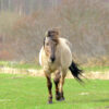 Maart Lauwersmeer